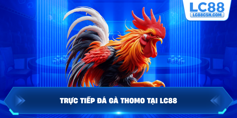 Trực tiếp đá gà Thomo tại LC88